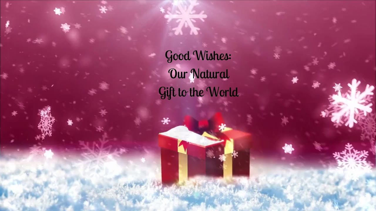 Day 24 : Good wishes