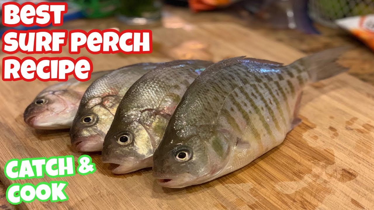 BEST SURF PERCH RECIPE (Catch and Cook)