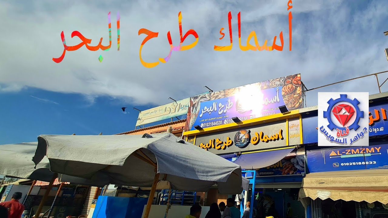 @ محل أسماك طرح البحر أضافة جديدة بأسماك شعبية و أقتصادية لكل أحتياجاتك المميزة.