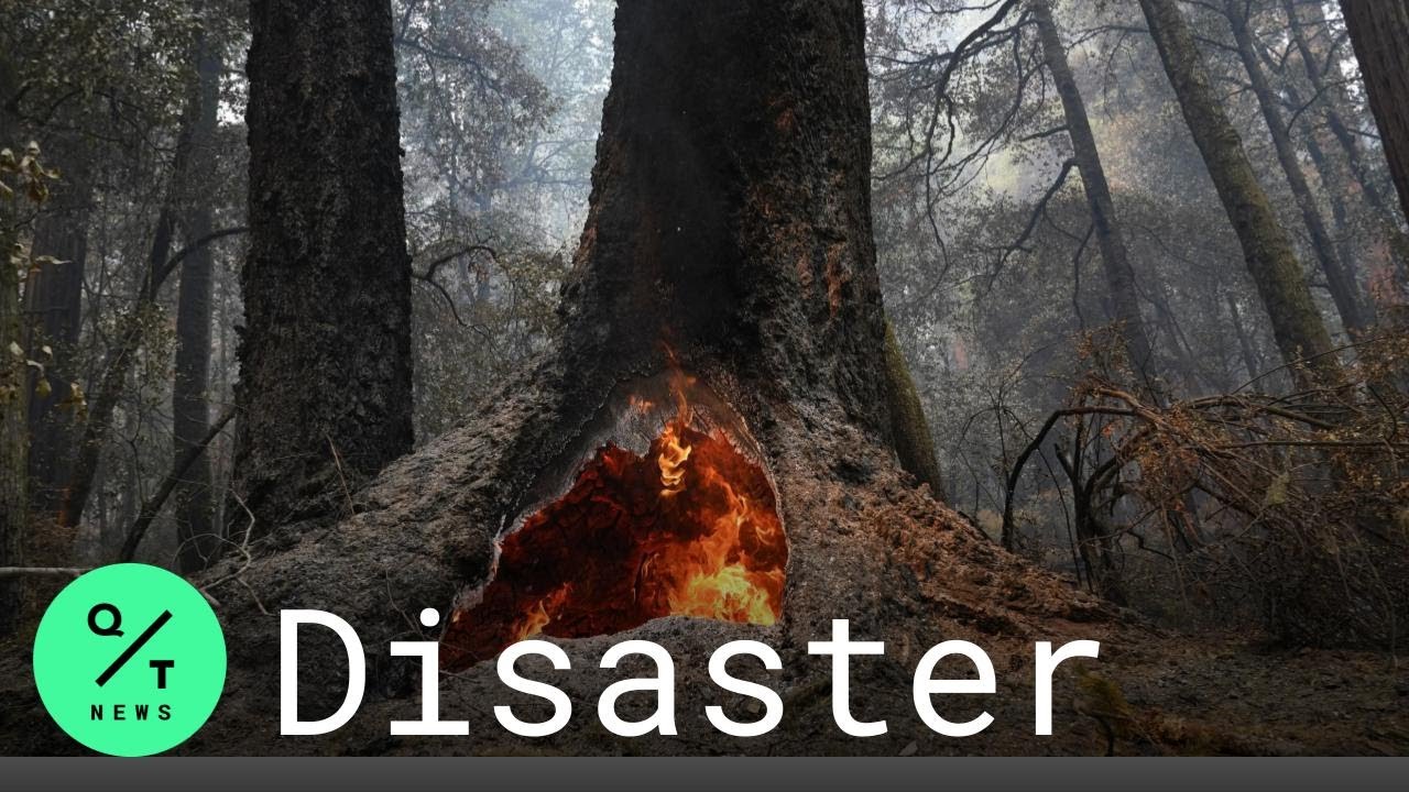 California Wildfires 2020: Governor Newsom Surveys Big Basin Fire Damage