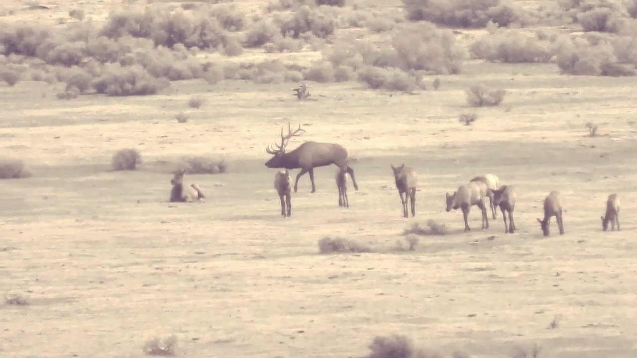 New Mexico GMU Unit 15 Hunting Information
