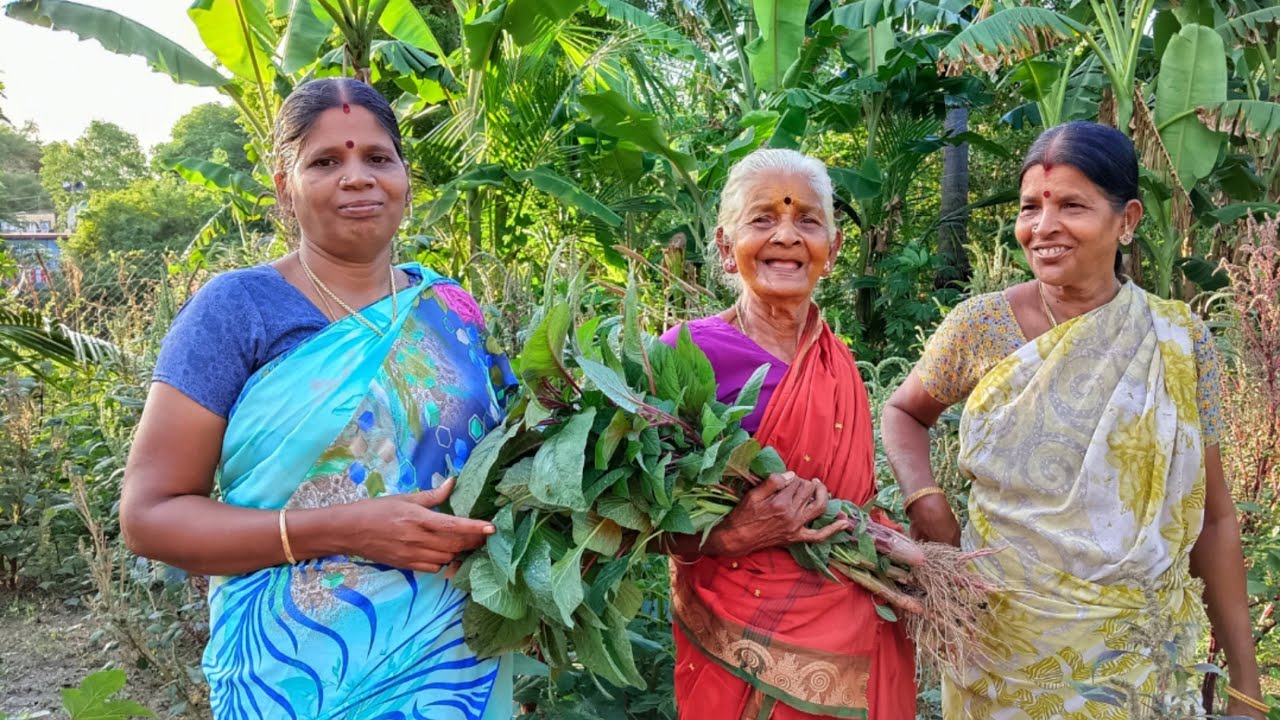 வேலைக்கு ஒரு நாள் லீவு.அக்கா வீட்டுக்கு போனாதான் ஜாலியாக இருக்கும்...