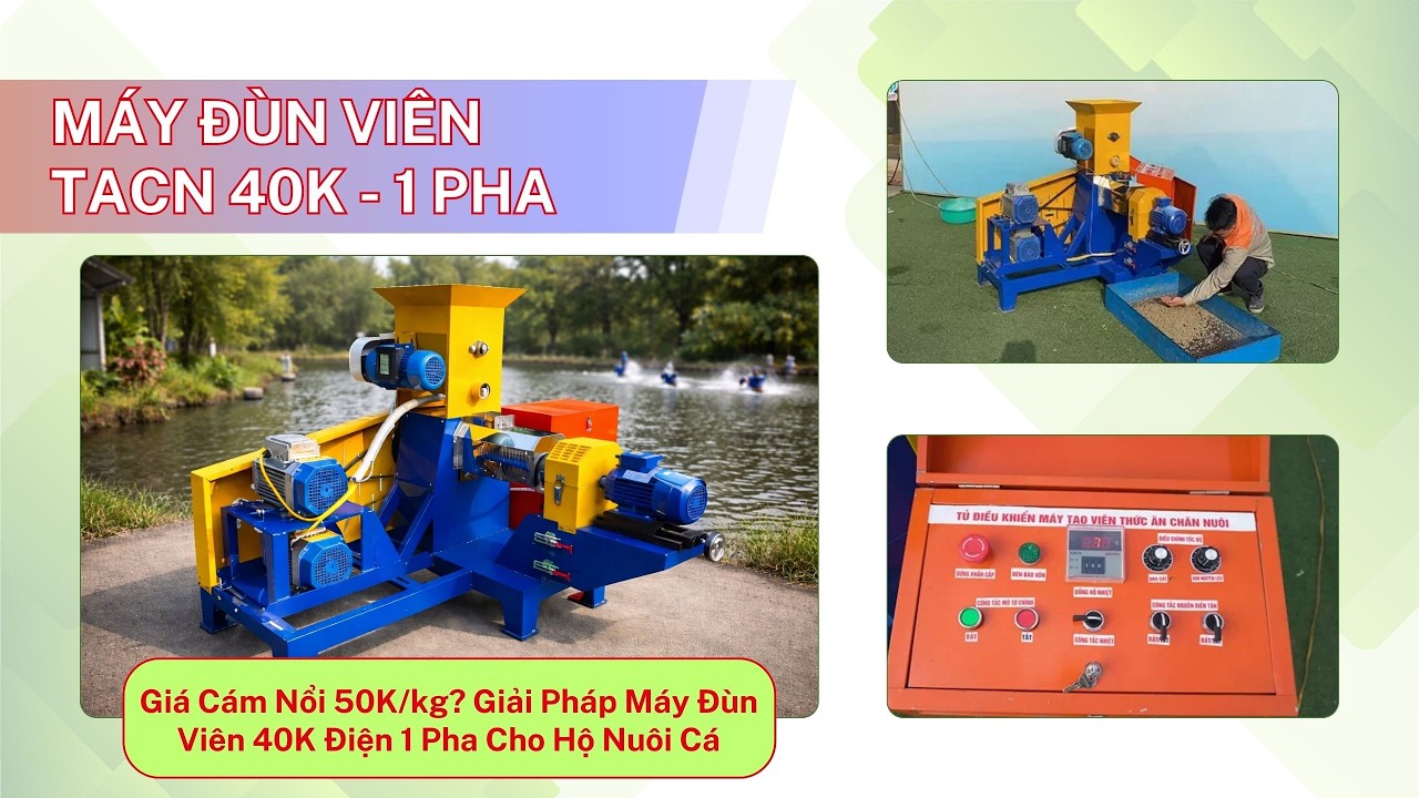Không Cần Điện 3 Pha! Máy Đùn Cám Nổi 40K 1 Pha Chạy Thực Tế Tại Ao Cá
