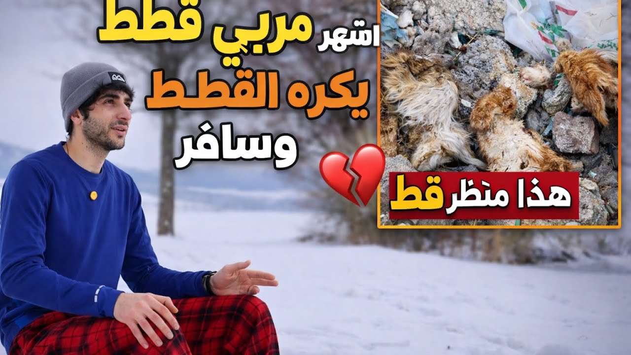 السبب الي خلاني اترك أهلي وقططي بتركيا واسافر لأوروبا 💔🐈