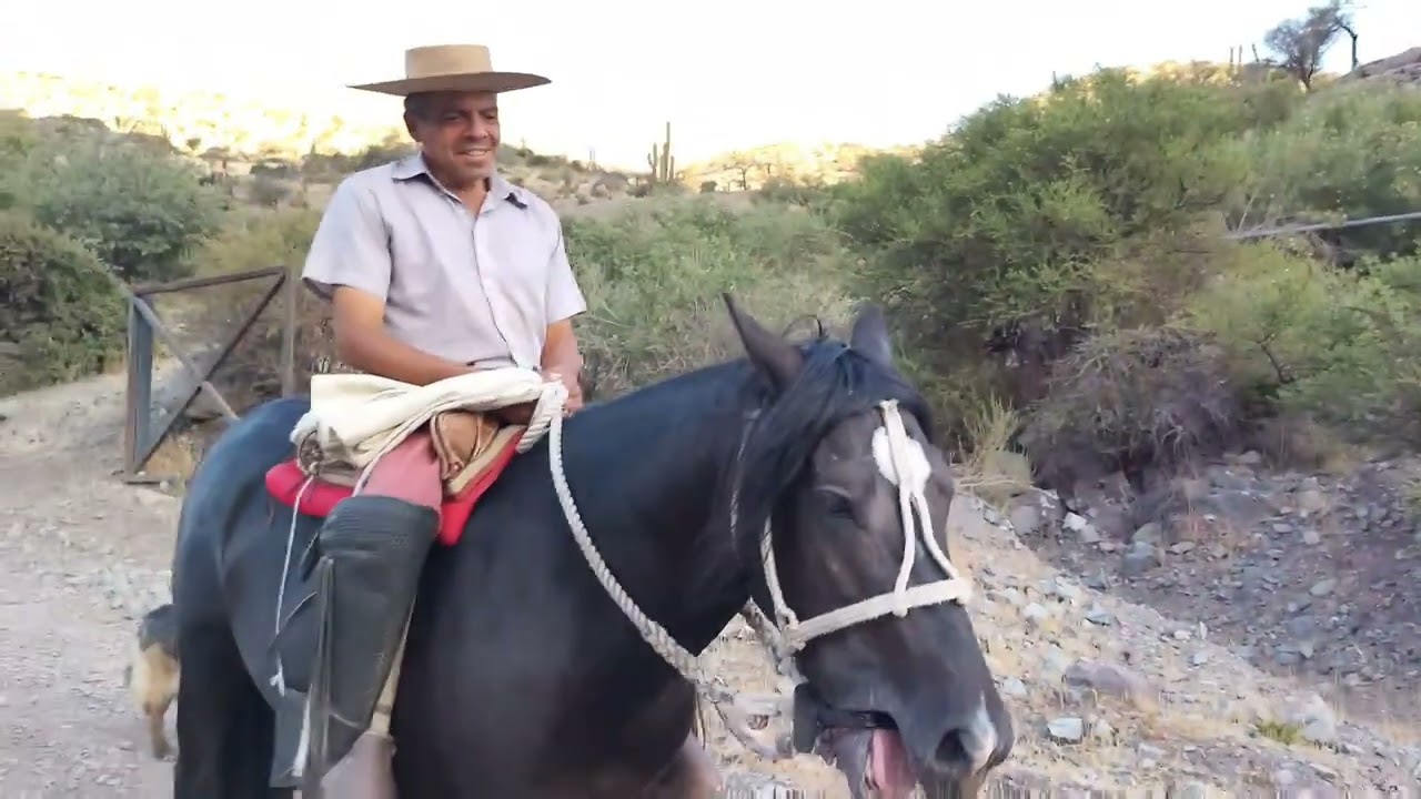 Huesos del Zaino