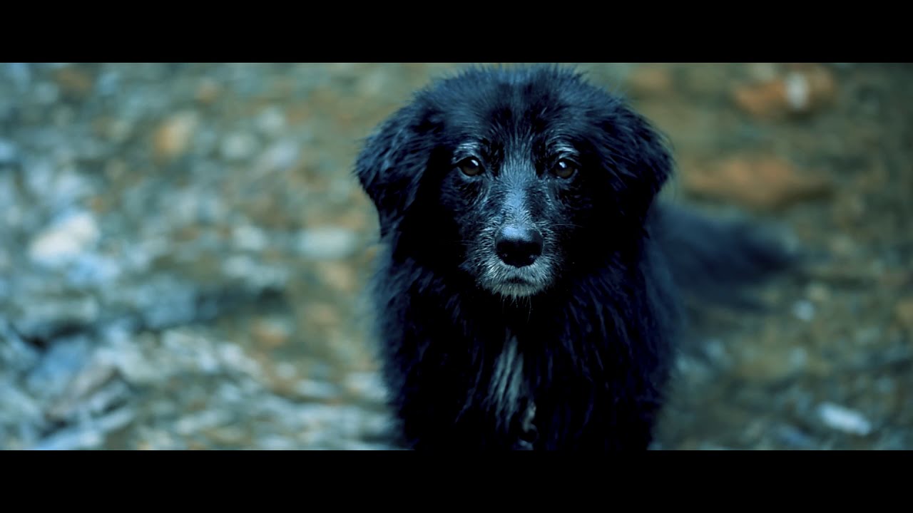 raabklamm - water wonderland