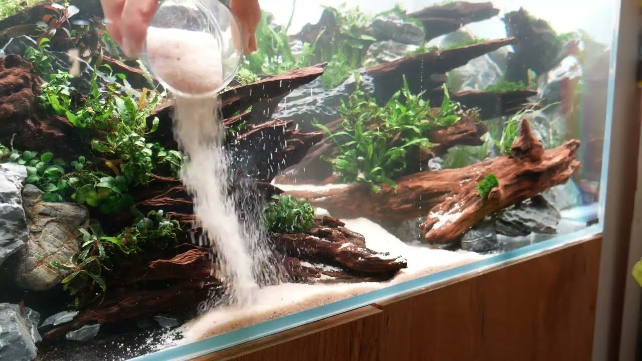 Comment monter un aquascaping