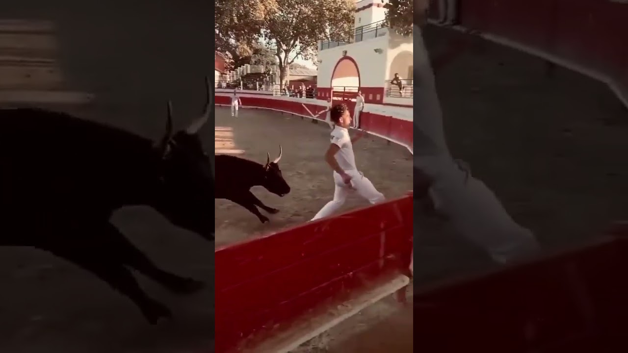 Torero in Not: Stier und Mensch springen aus der Arena! 😱🐂