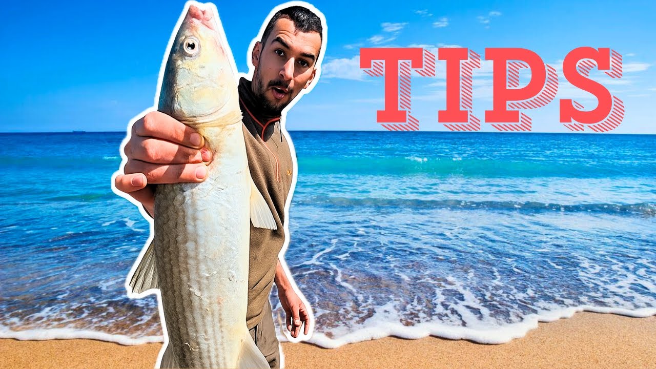 ΗΡΘΑΝΕ οι ΜΠΑΦΕΣ!!! (TIPS από τους ΕΜΠΕΙΡΟΥΣ)