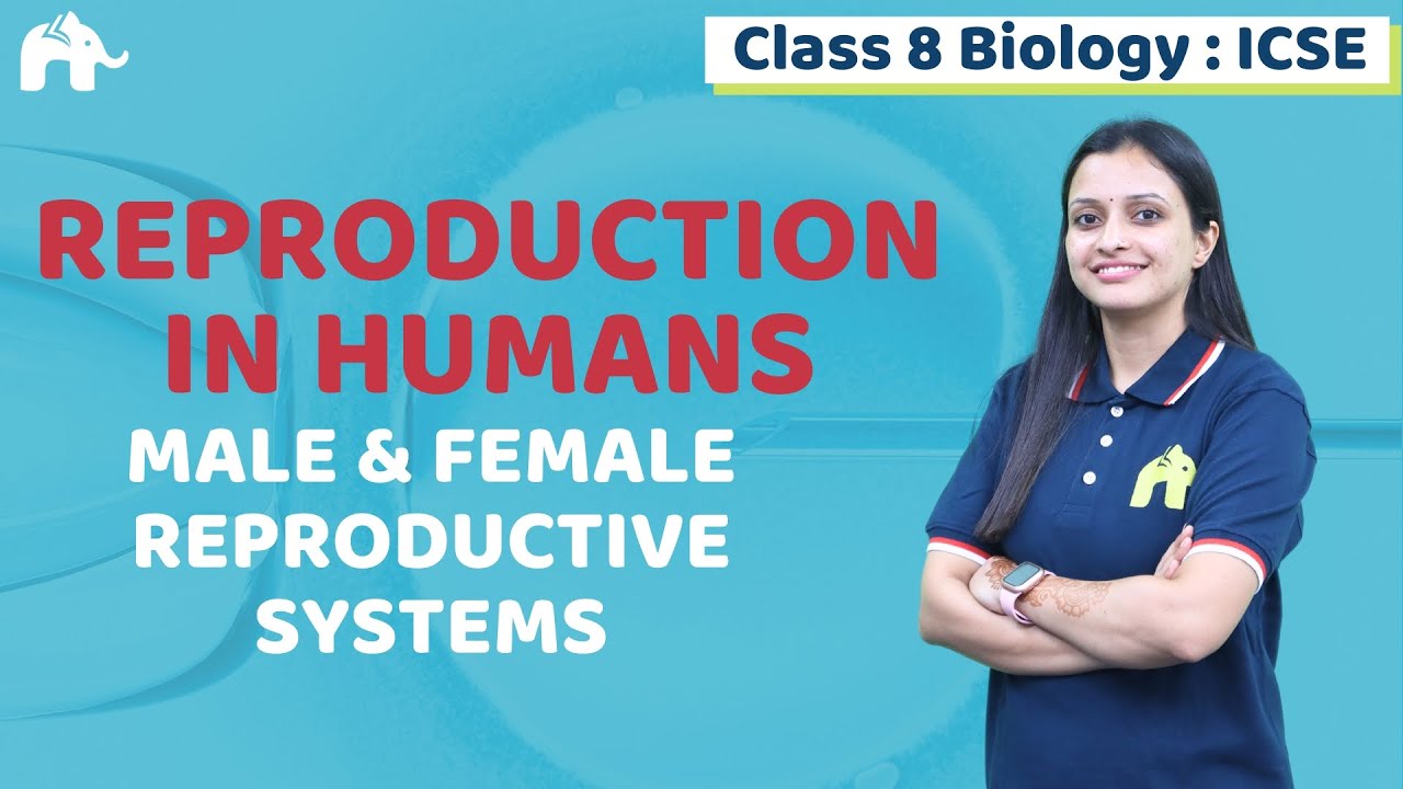 Reproduction in Humans Class 8 ICSE Biology | Selina Chapter Male & Female Reproductive Systems
