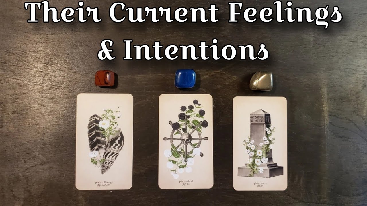 🖤⚖ Their Current Feelings & Intentions Towards You! 🤍⚖ Pick A Card Love Reading