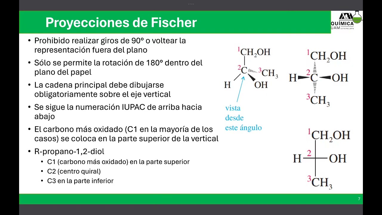 Proyecciones de Fischer