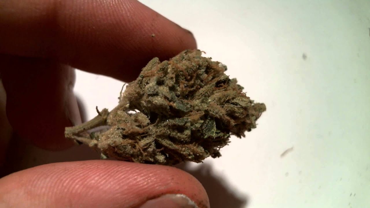 frosty outdoor WEED