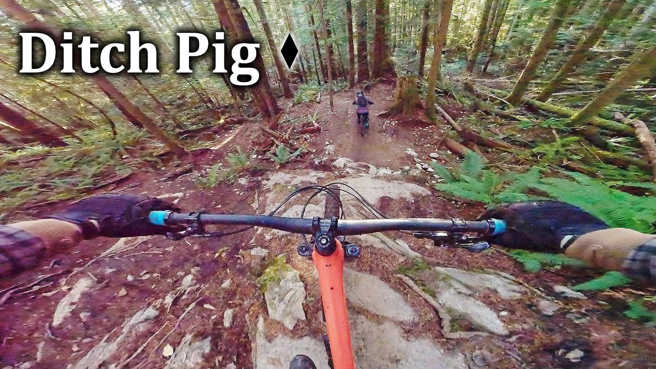 Ditch Pig - Diamond Head
