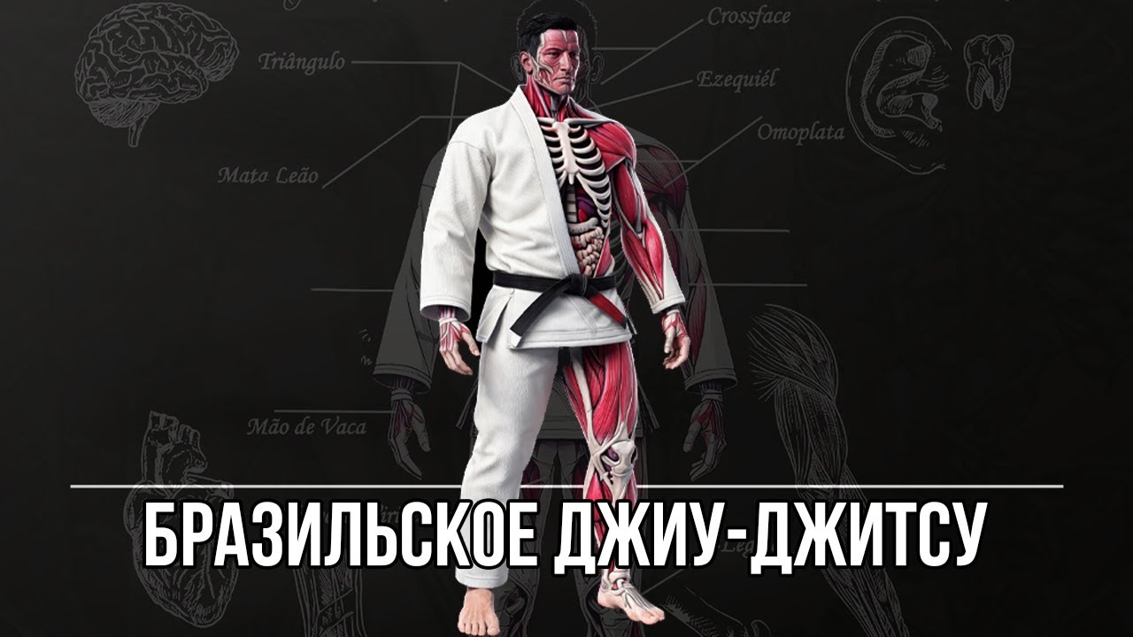 ПОЧЕМУ БРАЗИЛЬСКОЕ ДЖИУ-ДЖИТСУ ТАК ПОПУЛЯРНО? ПОЛЬЗА BJJ