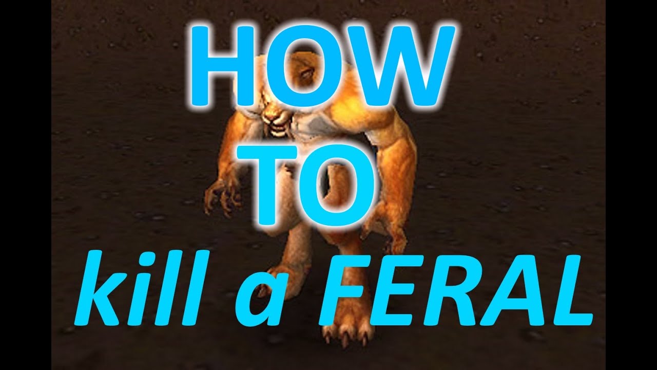 BM Hunter - HOW TO KILL FERALS (HD1080p)