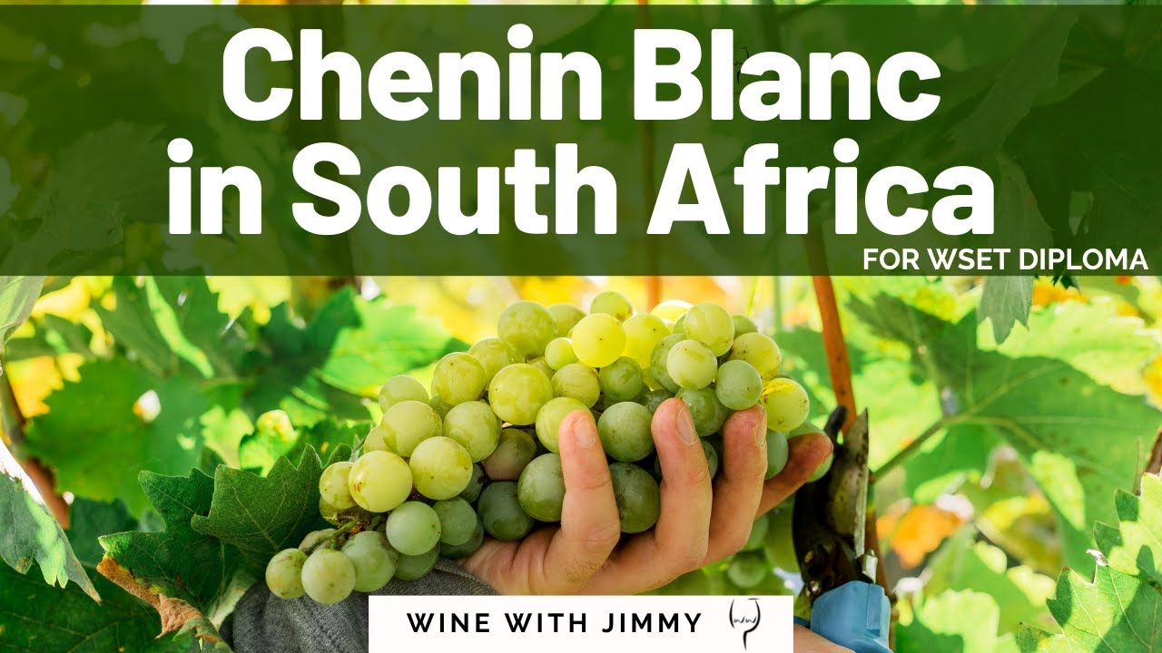 Chenin Blanc in South Africa for WSET Level 4