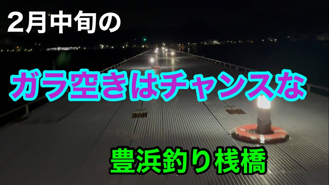 2月中旬のガラ空きはチャンスな豊浜釣り桟橋 知多半島
