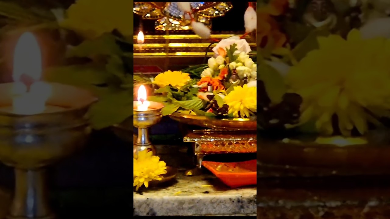 Friday Pooja Vibes @Home #poojavibes #flowers #garden #minivlog #chandrashomeworld #kannadavlog