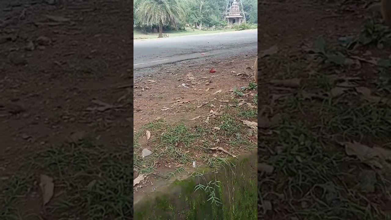 Mankada