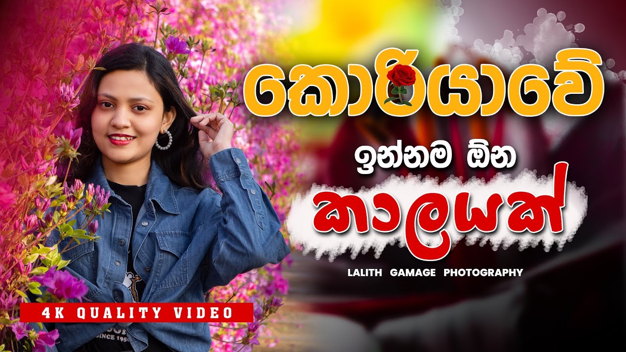 වර්ණවත් කොරියානු වසන්තය | A Colourful Korean Spring