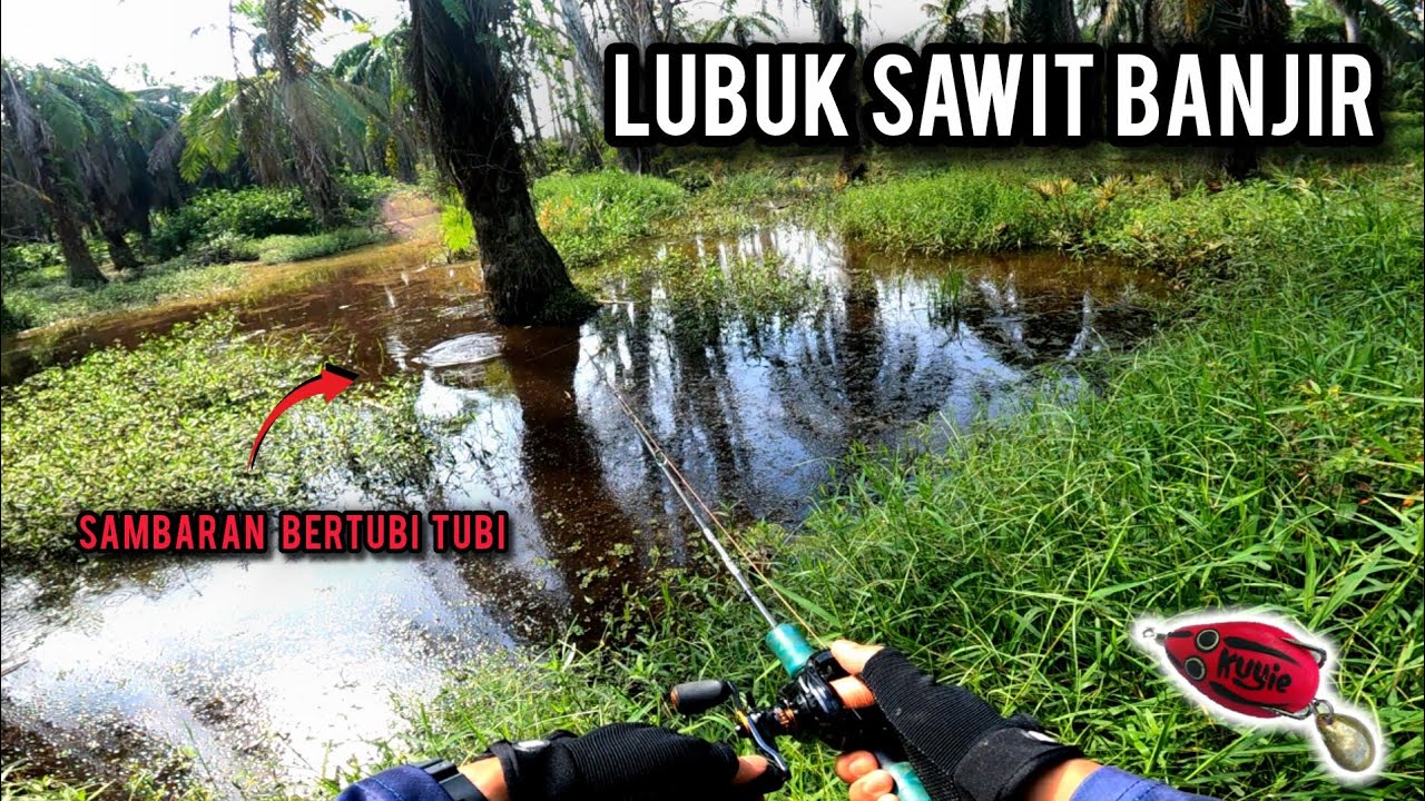 CASTING HARUAN | SAMBARAN BERTUBI TUBI DI LUBUK SAWIT SEDANG BANJIR | KASTKING ZEPHYR | VLOG649