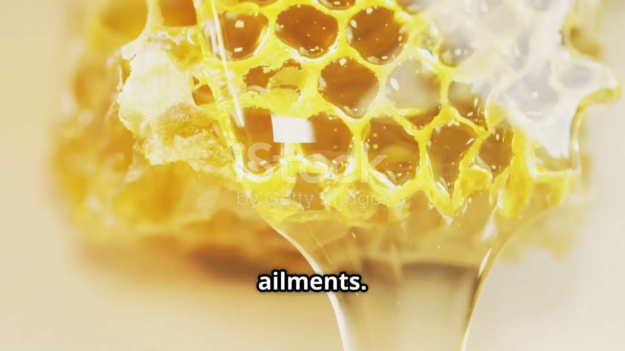 The Secret Life of Bees : Crafting the Perfect Honeycomb!