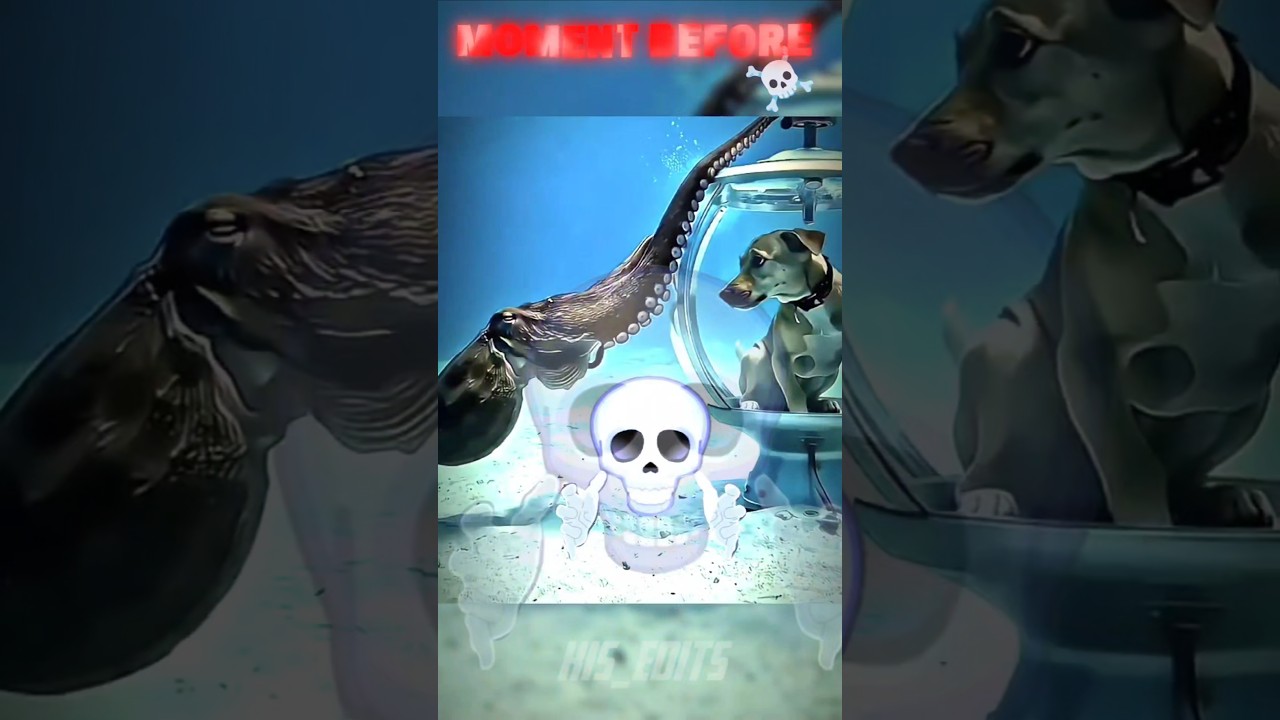 Trollface skull edit ☠️ | Kis edits |trending trollface shorts #trollface #trollfaceedit #troll