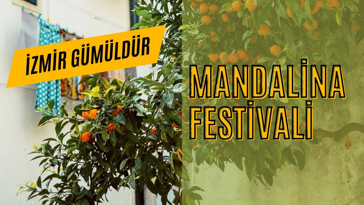 İzmir Gümüldür-Özdere Mandalina festivali 2023