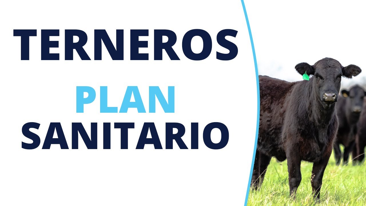 Plan Sanitario para terneros - Biogénesis Bagó