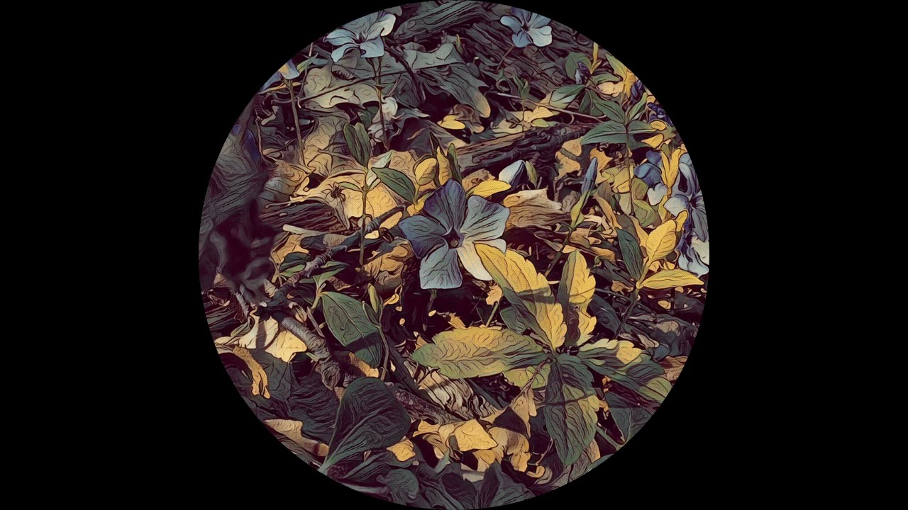 Caesar - Extract