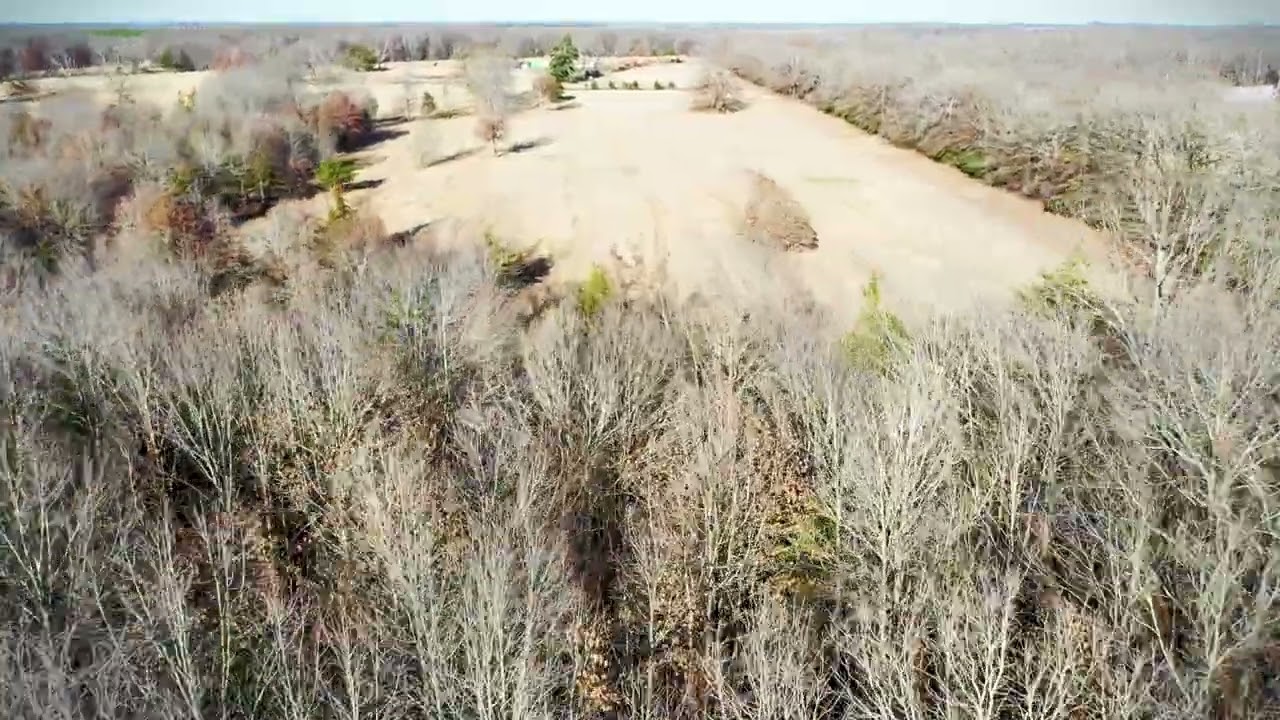 Prime Wildlife Habitat | Recreational Hunting Property in Red River County, TX #hunting #texasland