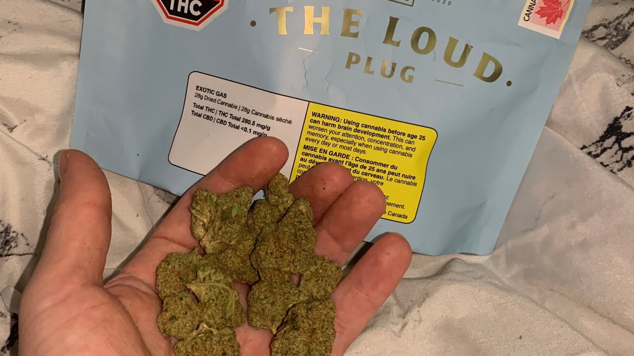 THE LOUD PLUG - EXOTIC GAS 