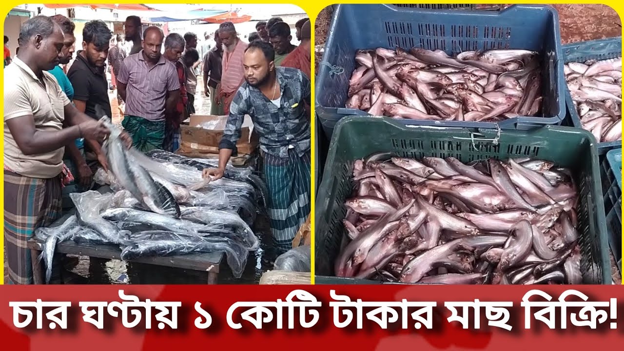 চার ঘণ্টায় ১ কোটি টাকার মাছ বিক্রি! | মৌলভীবাজারের ঐতিহ্যবাহী মাছের আড়ৎ | Moulvibazar | Fish market