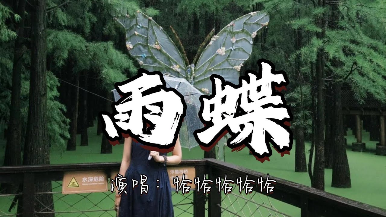 恰恰恰恰恰 - 雨蝶『我向你追 风温柔的吹 只要你无怨 我也无悔。』『动态歌词MV』#翻唱 #经典老歌 #分享