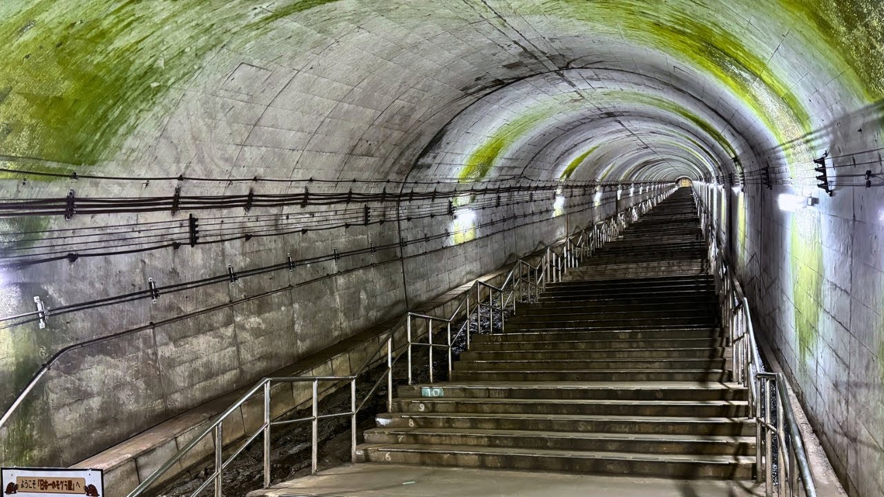 Самая глубокая станция в Японии 🚋⛰️ | Станция Доаи | Лестница из 486 ступеней!