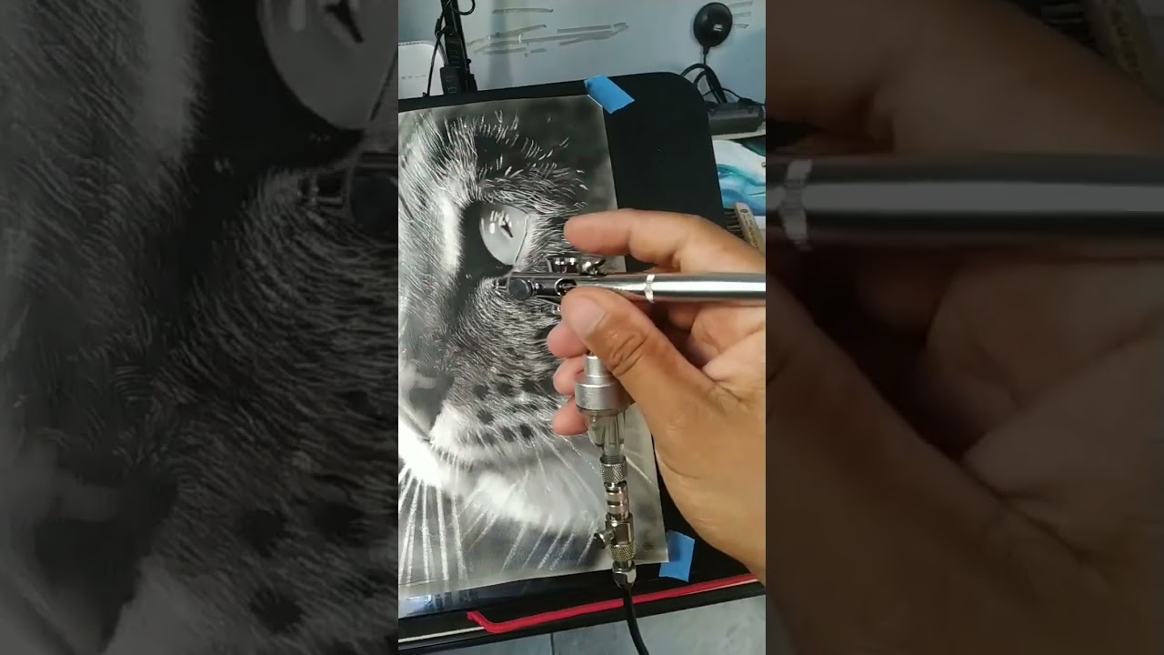 Pintura do Pet Gato Aer&oacute;grafia cat drawing.  #cat #pets #pet #drawing #aerografia