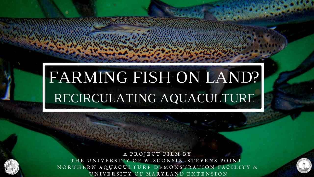 Farming Fish on Land? Recirculating Aquaculture