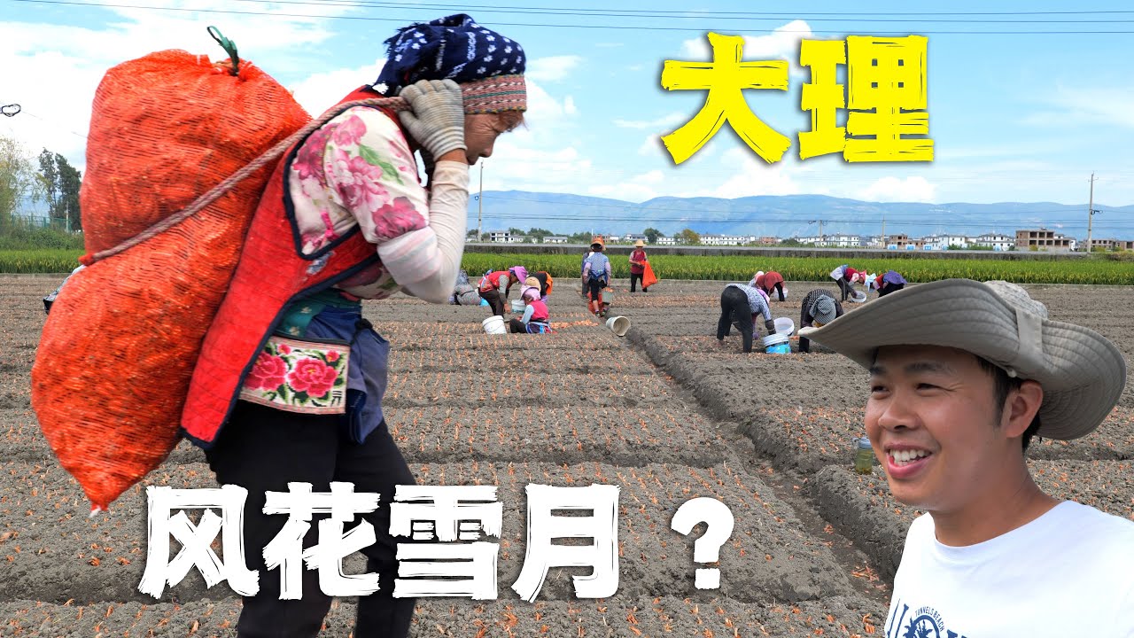 前往大陸最熱門旅遊城市，大理鄉村人文風光旅行，看見旅行攻略之外的大理🇨🇳Unveil Yunnan Village Life丨 Yunnan travel丨Explore Rural China 4K