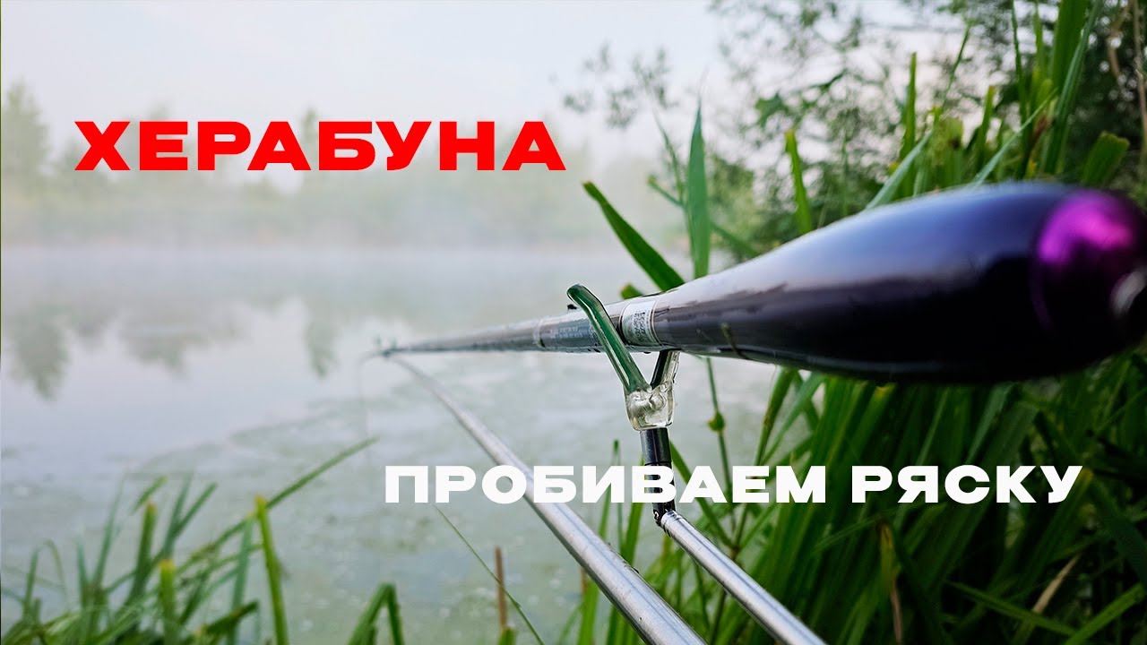 КТО же ПРЯЧЕТСЯ под РЯСКОЙ?! Неужели это ОН?!