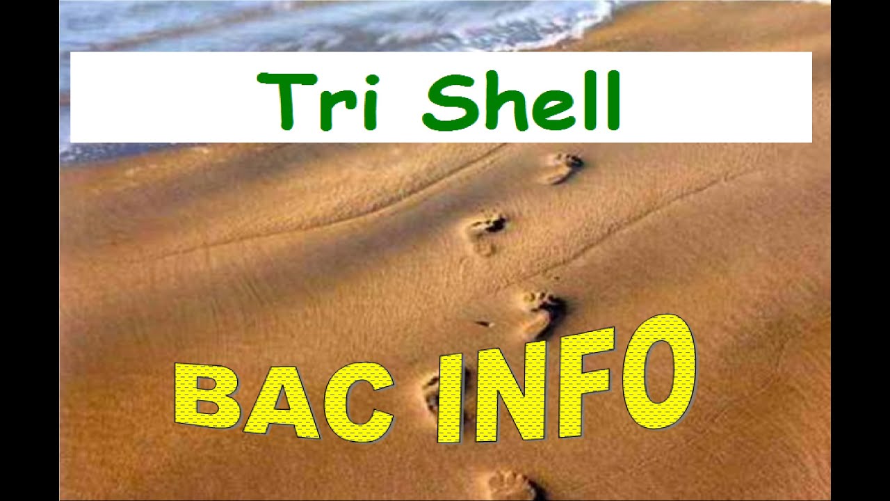 04_TRI SHELL
