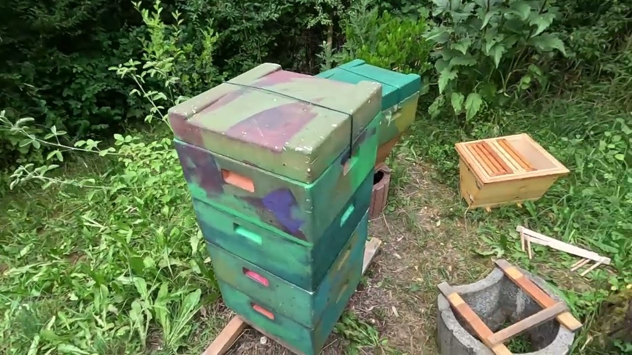 Umsiedlung in ein Home-Hive