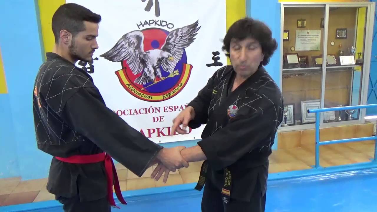 6ª LUXACIÓN - SON MOK KOKKI SUL - TÉCNICA 6