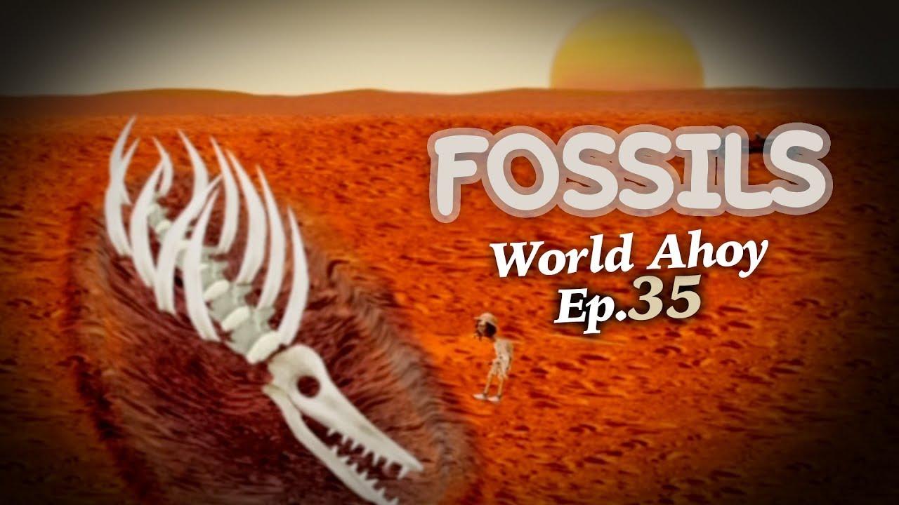 Fossils | World Ahoy 1x35