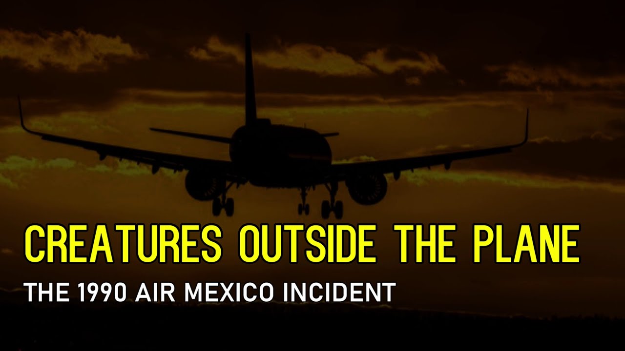 &ldquo;Creatures Outside The Plane: The 1990 Air Mexico Incident&rdquo;  | Paranormal Stories