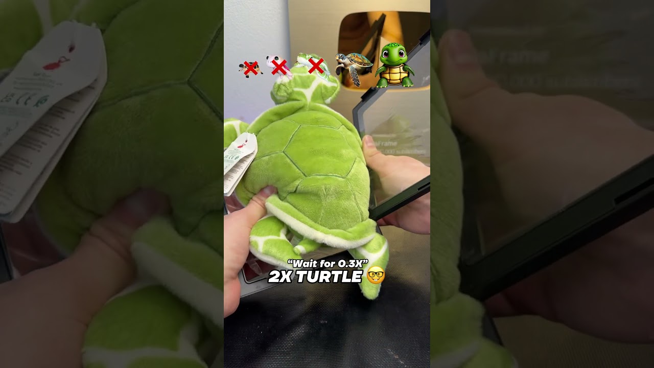 Turtle Evolution&hellip; 🐢