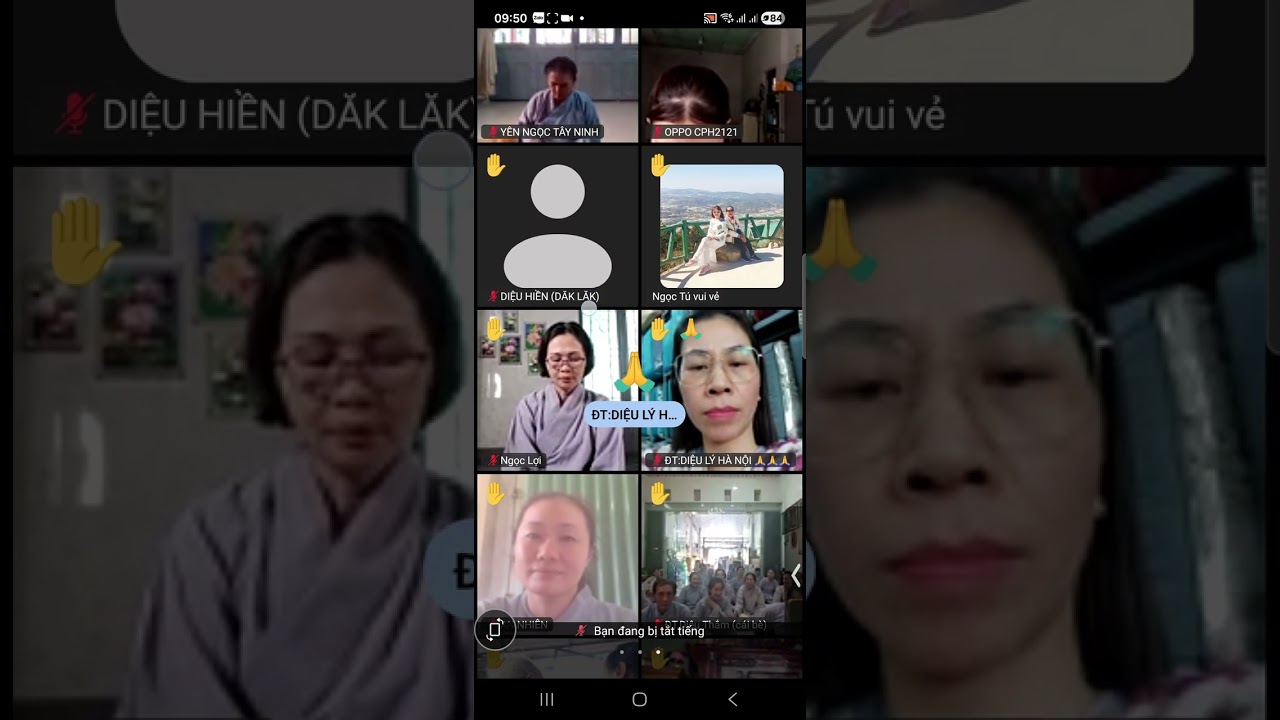 Câu Phật hiệu là minh sư của Quý Vị đấy | Cộng tu trưa 
