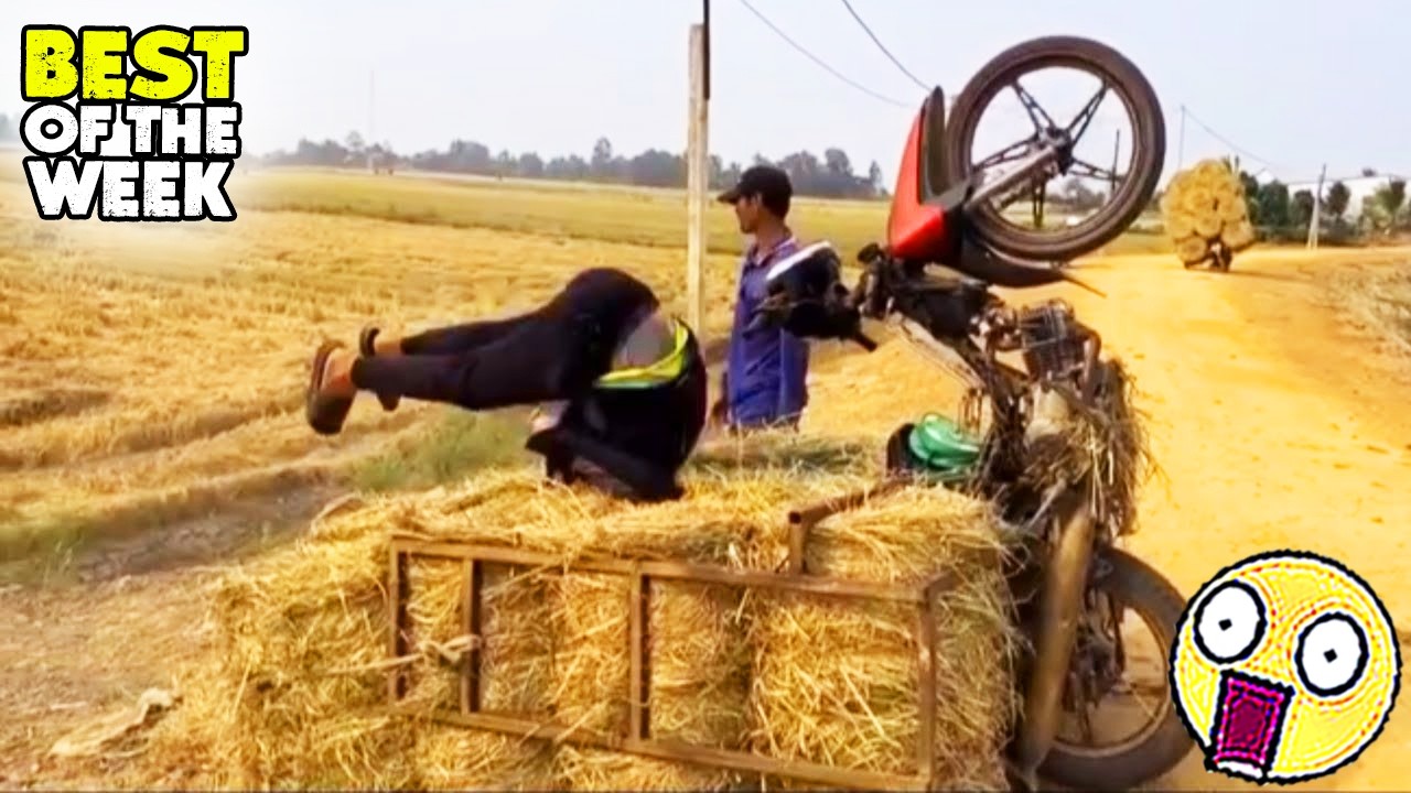 TRY NOT TO LAUGH #05 😂😁😆 | Funny & Hilarious People Life 😆 | Instant Regret Fails Compilation 2026