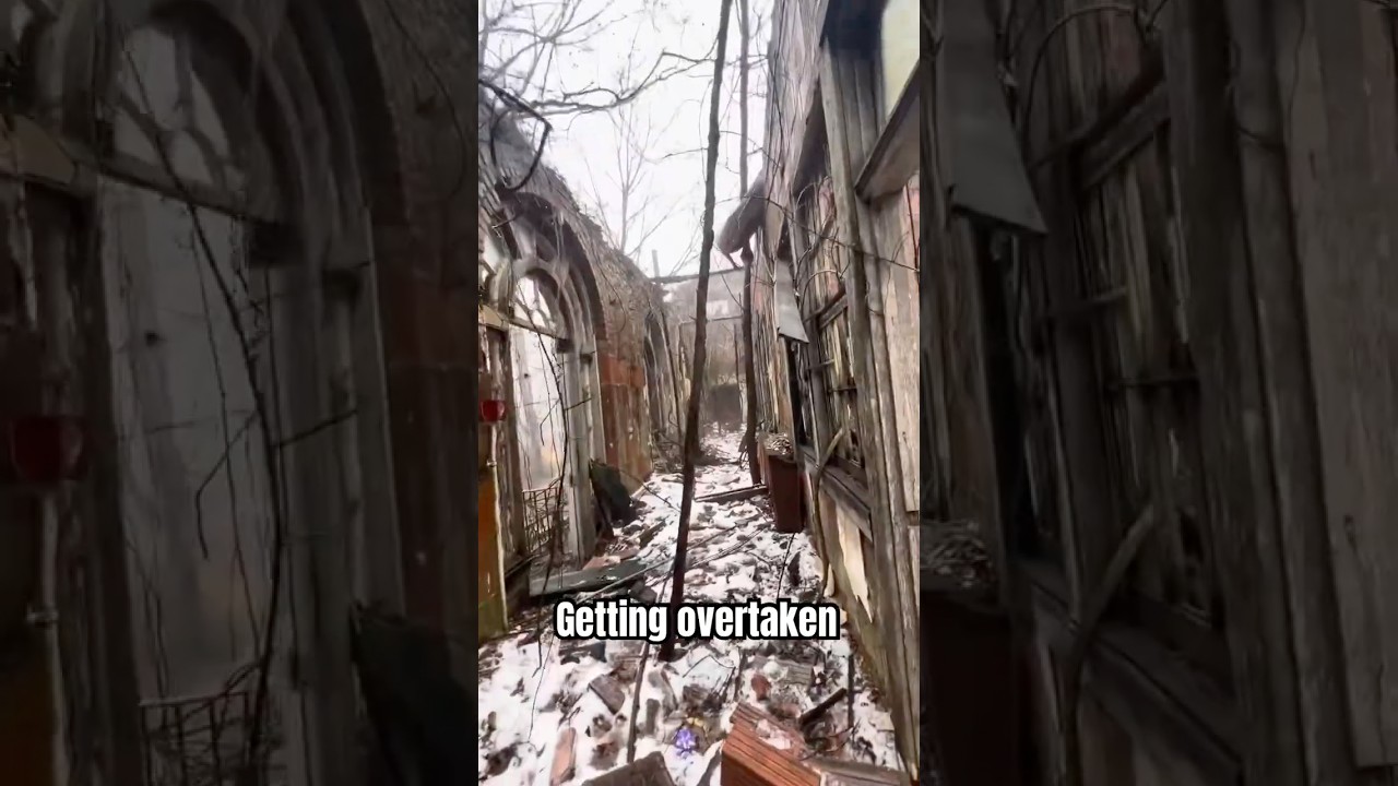 #overtaken like a #mayanruins  #jungle in HERE #abandonedplaces