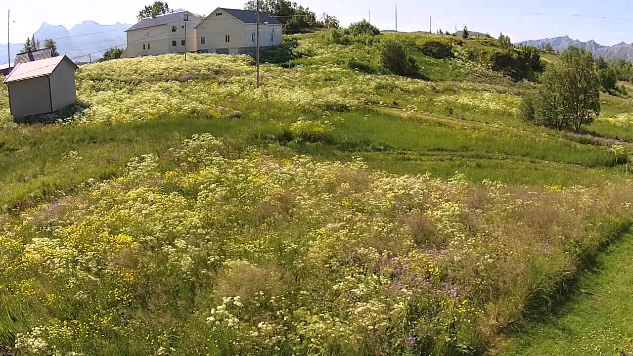 Barkestad